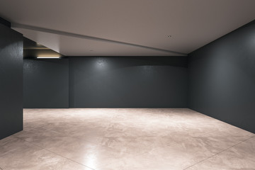 Modern concrete interior with lamps and blank walls.