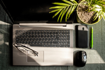 Laptop, phone, mouse, pen, eyeglasses and house plant on the table.