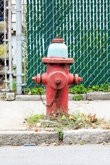 FIRE HYDRANT painted in red and blue on a town street 