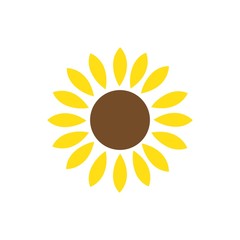 sun flower illustration vector