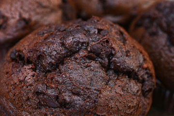 Double Chocolate Chip Muffin Close Up