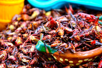 dia de muertos en coyoacan