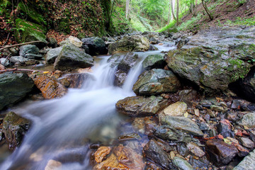 River in mountain in autumn with yellow foliage