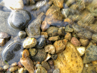 River in mountain in autumn with yellow foliage