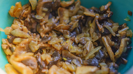 fried mushrooms with onions in a plate