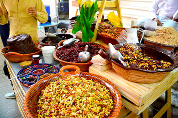 dia de muertos en coyoacan