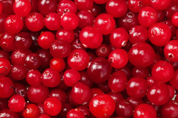 Cranberry. Cranberry background. Food background