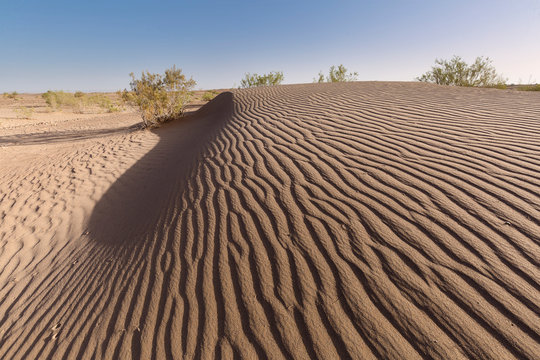 Landscape in the desert in the town of M&acute;Hamid