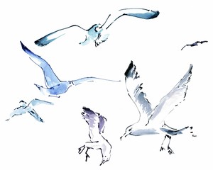 Set of flying gulls - 335942235