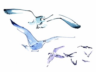 Set of flying gulls - 335942248