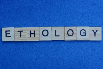 word ethology made from gray letters lies on a blue background