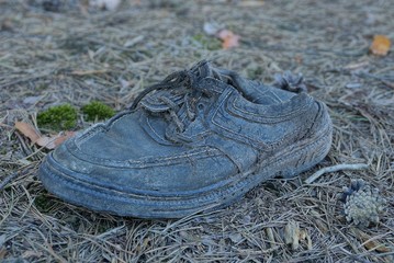 garbage from one black old leather boot on gray dry needles on nature in the forest