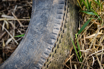 Fototapeta na wymiar old abandoned tire in the grass