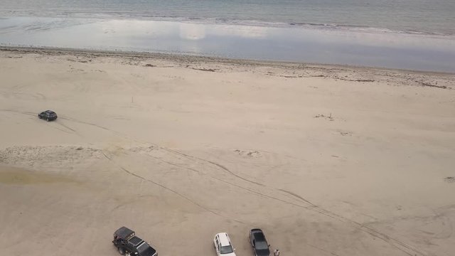 Aerial Image of sloth tree (arvore da preguica), attractive tourist of Jericoacoara, Ceara, Brazil