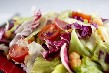 A closeup view of a garden salad, in a restaurant or kitchen setting.