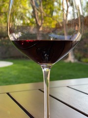 glass of red wine in the garden