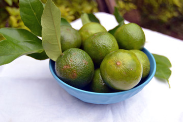 blue bowl with green lemon on white towel