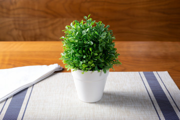 A view of a decor plant on a place mat and wooden table, in a restaurant or kitchen setting.