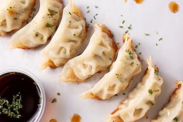 A top down view of an appetizer tray of Japanese gyoza, in a restaurant or kitchen setting.