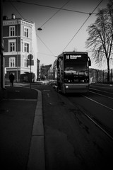 Tram on the road