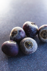 healthy food ingredients, beetroot with tiny sprouts on top