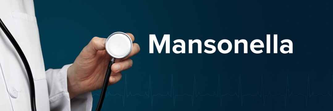 Mansonella. Doctor in smock holds stethoscope. The word Mansonella is next to it. Symbol of medicine, illness, health