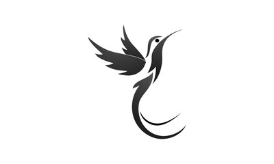 Fototapeta na wymiar bird vector logo design