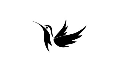 bird vector logo design