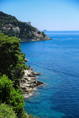 Obraz premium Dubrovink