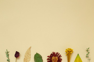 Dry flowers and leaves on beige background. Floral composition, flat lay, top view, copy space