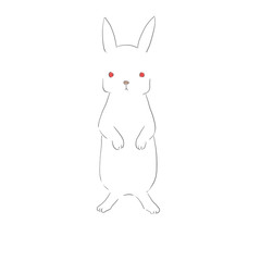 うさぎ　白