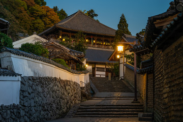 Fototapeta premium Iluminated temple in Nara park, Japan