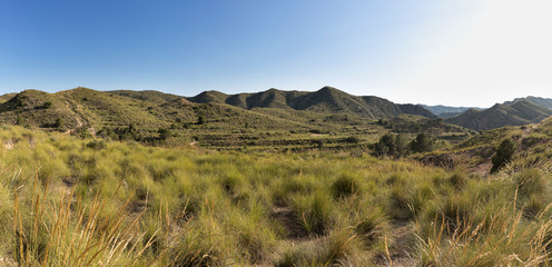 Landscape in La Font del Llop of Monforte del Cid.