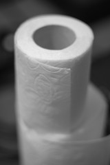 Toilet paper roll