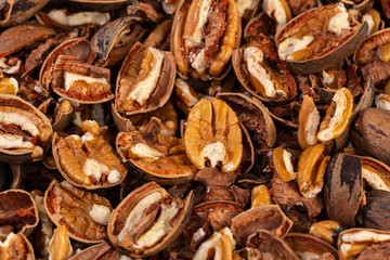 Cracked pecan nuts with the nutshell background texture.