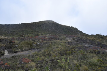 One hill in the Lonely Paramo of Bogotá