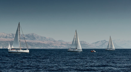 Fototapeta premium The race of sailboats, a regatta, reflection of sails on water, Intense competition, number of boat is on aft boats, bright colors, island with windmills are on background