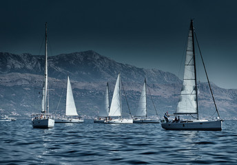 The race of sailboats, a regatta, reflection of sails on water, Intense competition, number of boat...