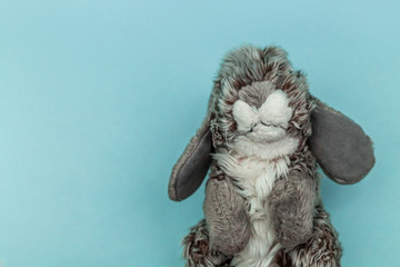 gray easter bunny toy on blue background. Happy Easter card with copy space for text. The concept of backgrounds for Easter. top view