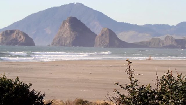 The wild Oregon coast offering a relaxin and dramatic Coastal landscape thats ever changing as the waves carve their way thru the sand and rocks part of the Samuel H Boardman Scenic Corridor.