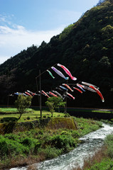 鯉のぼり(CARP STREAMER)、5月の風物詩 / 山口県周南市高瀬
