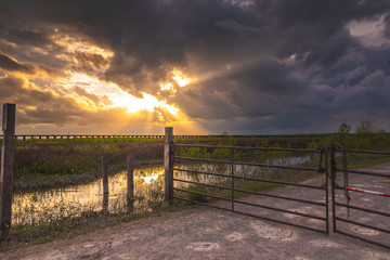 Sun Sets on a Swampy Trail near a Railroad