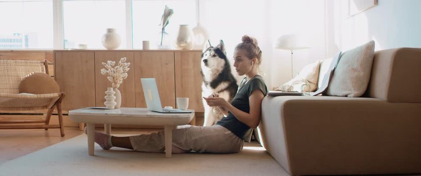 Caucasian female working from home, having a video work call, dog sits near her. Stay home, quarantine remote work. Shot on RED Dragon