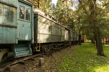 Fototapeta na wymiar Old train crossing the woods