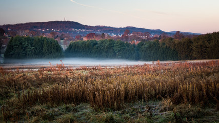 Fototapeta na wymiar A foggy meadow with fall foliage decorating a series of hills in Berks County, PA