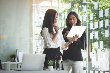 Business working in office with documents and laptop people Consulting and business planning.