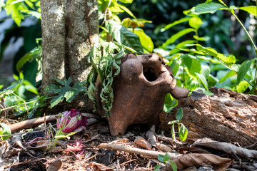 Abandoned clay sculpture pig in the garden.