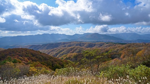 424 Best 蒜山高原images Stock Photos Vectors Adobe Stock