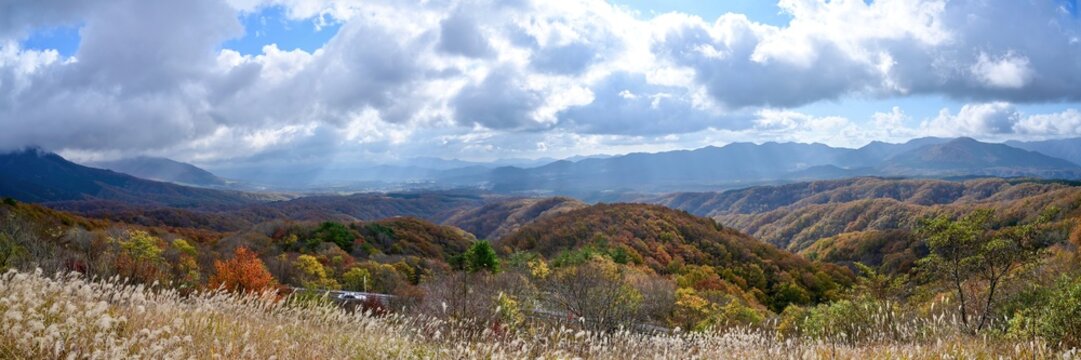蒜山高原images Browse 776 Stock Photos Vectors And Video Adobe Stock
