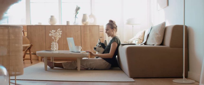 Caucasian female working from home, having a video work call, dog sits near her. Stay home, quarantine remote work. Shot on RED Dragon